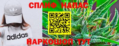 PSILOCYBIN Гусь-Хрустальный
